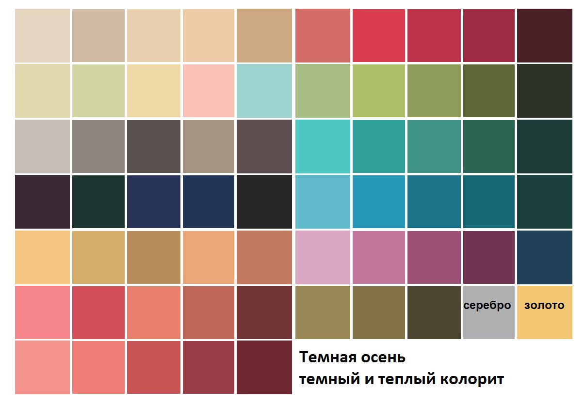 Теплый колорит. Глубокая осень цветотип палитра. Палитра для цветотипа глубокая осень. Палитра цветотипа темная осень. Тёмная осень цветотип палитра.